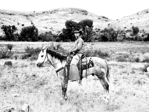 Cowboy_on_Horse-Art-Gallery-Stay-At-Fort-Davis-Cow-Camp