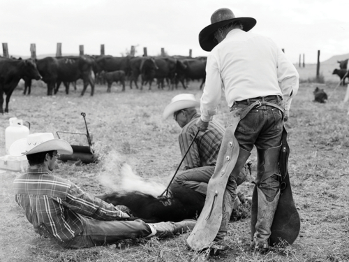 Glover_Branding-Art-Gallery-Stay-At-Fort-Davis-Cow-Camp